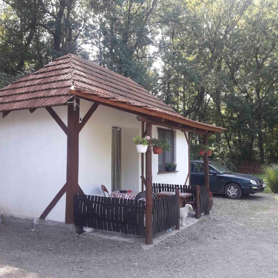 Sljivik ξενώνας Ni Εξωτερικό φωτογραφία